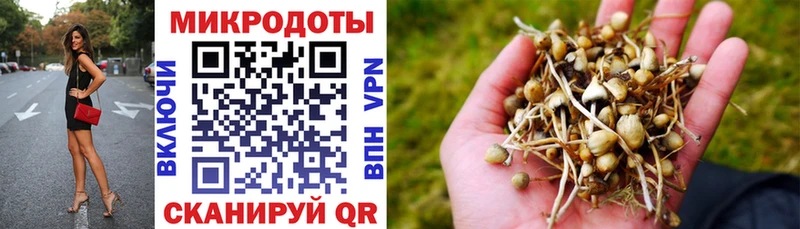 Галлюциногенные грибы прущие грибы  Вытегра 